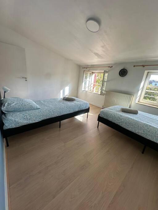 Le Leon Cladel T3 Proche Parking Gratuit Apartment มงโตบ็อง ภายนอก รูปภาพ
